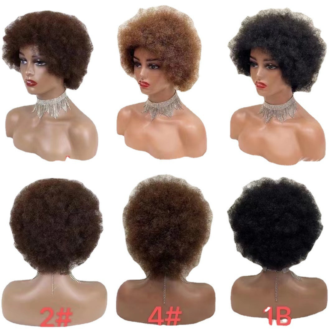 Classic Pretty Innovative Straight African Curly Real Hair Wig