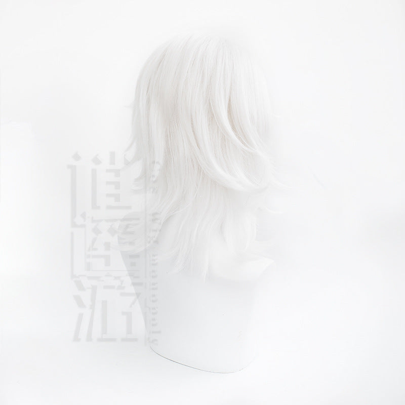 Free Travel No Version White Anime Cos Wig