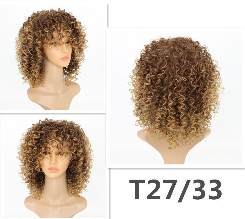 Fiber Classic African Small Roll Caterpillar Synthetic Wig Long Curls
