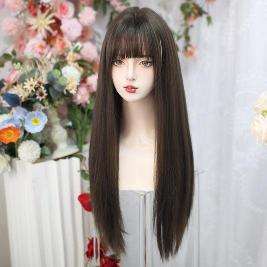 Women's Long Hair Straight Natural Simulation People Air Other Wig