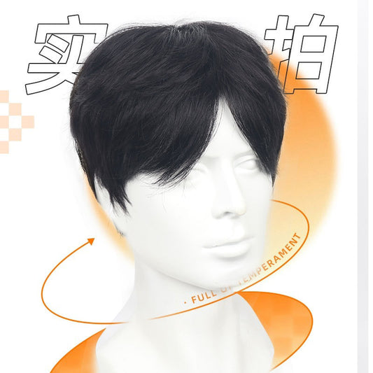 Men's Differential Broken Cover All Real Hair Short Fluffy Natural Full Men's Wig