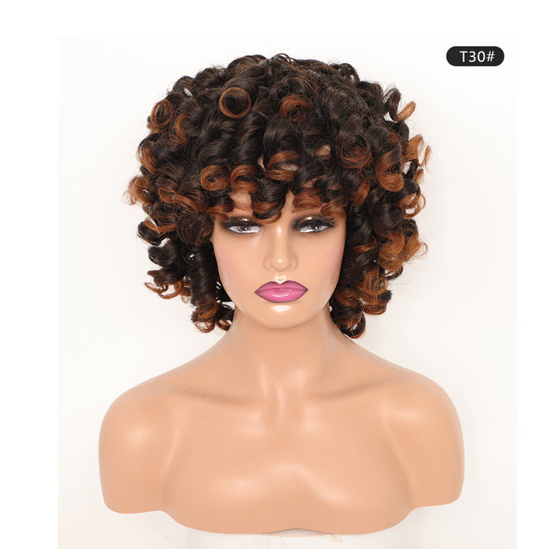 Stylish Unique Cool Classy African Small Wig Short Curly Hair
