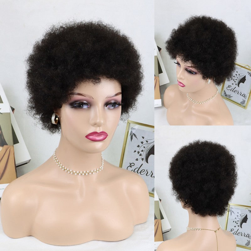 Classic Human Afro Original High Quality Wig Short Curly Hair
