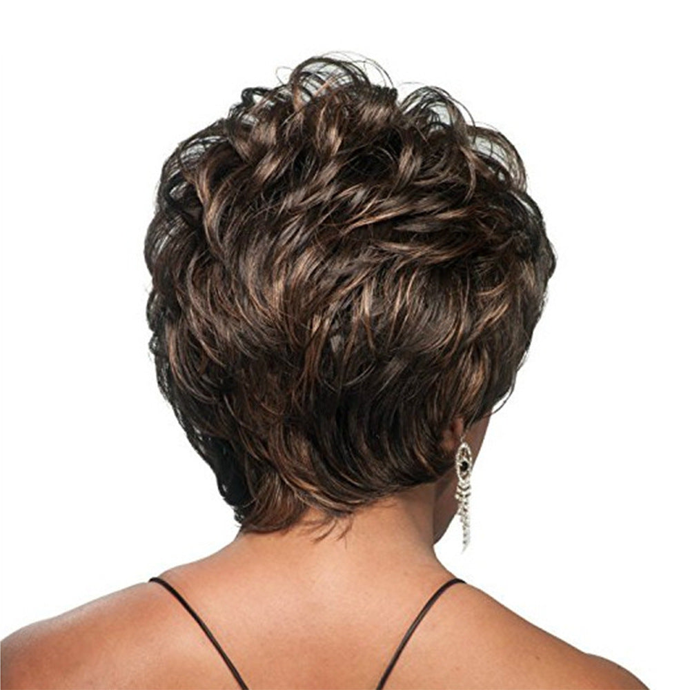 Women's Fluffy Natural Brown Fiber Chemical Rose Wig Short Curly Hair