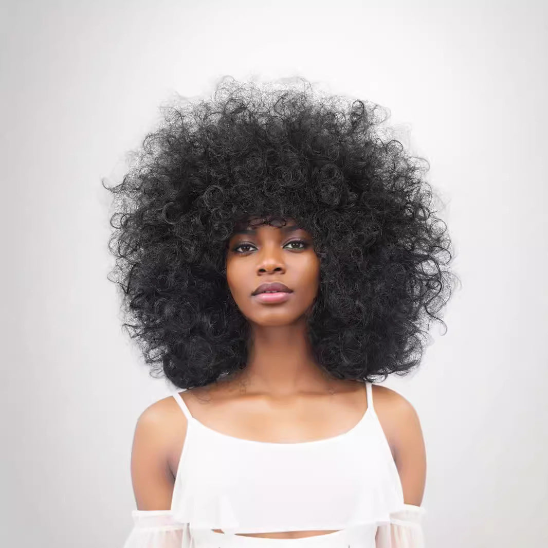 Women's Afro African Small Synthetic Wigs Wig Short Curly Hair