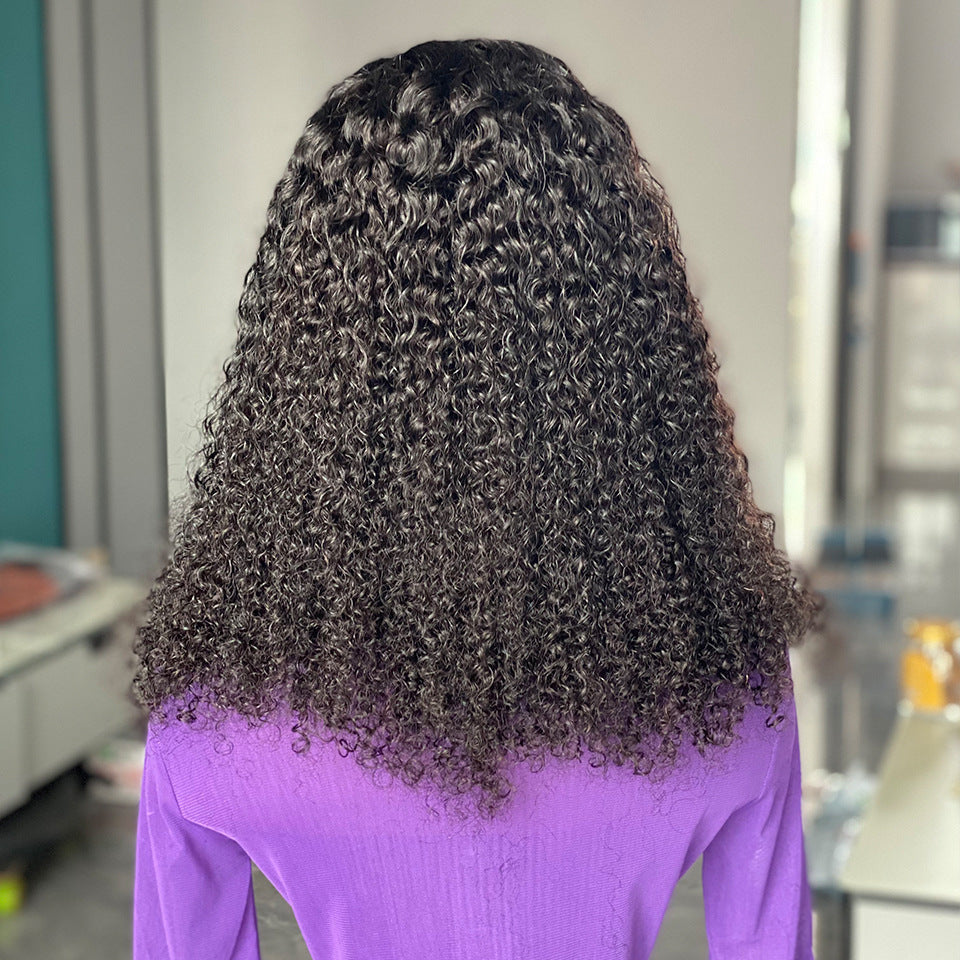 Women's Lace Synthetic Wigs Fashion African Small Wig Short Curly Hair