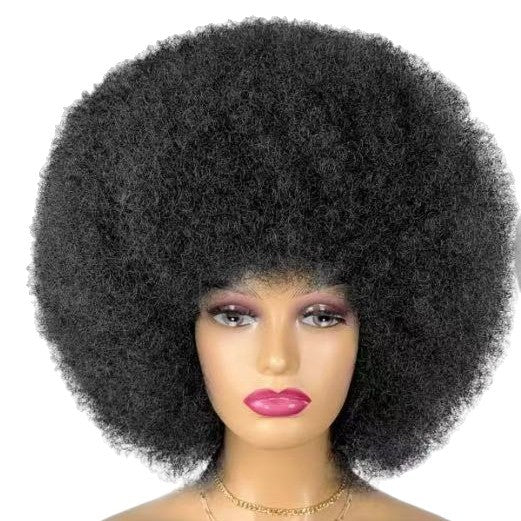 Afro Black African Wigs With Small Head Cover Fluffy Wig Short Curly Hair