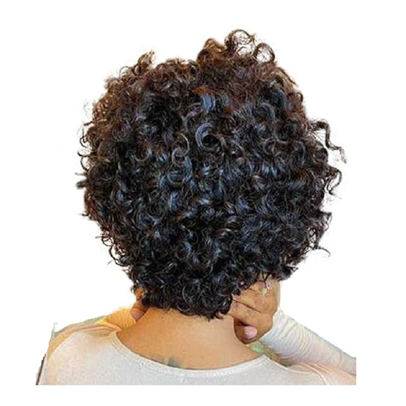 Women's African Black Small Head Cover Fiber Wig Short Curly Hair
