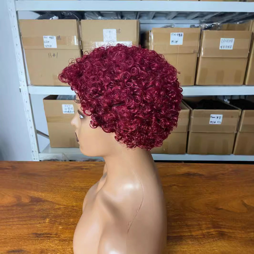 Attractive Graceful African Human Small Curls Wig Short Curly Hair