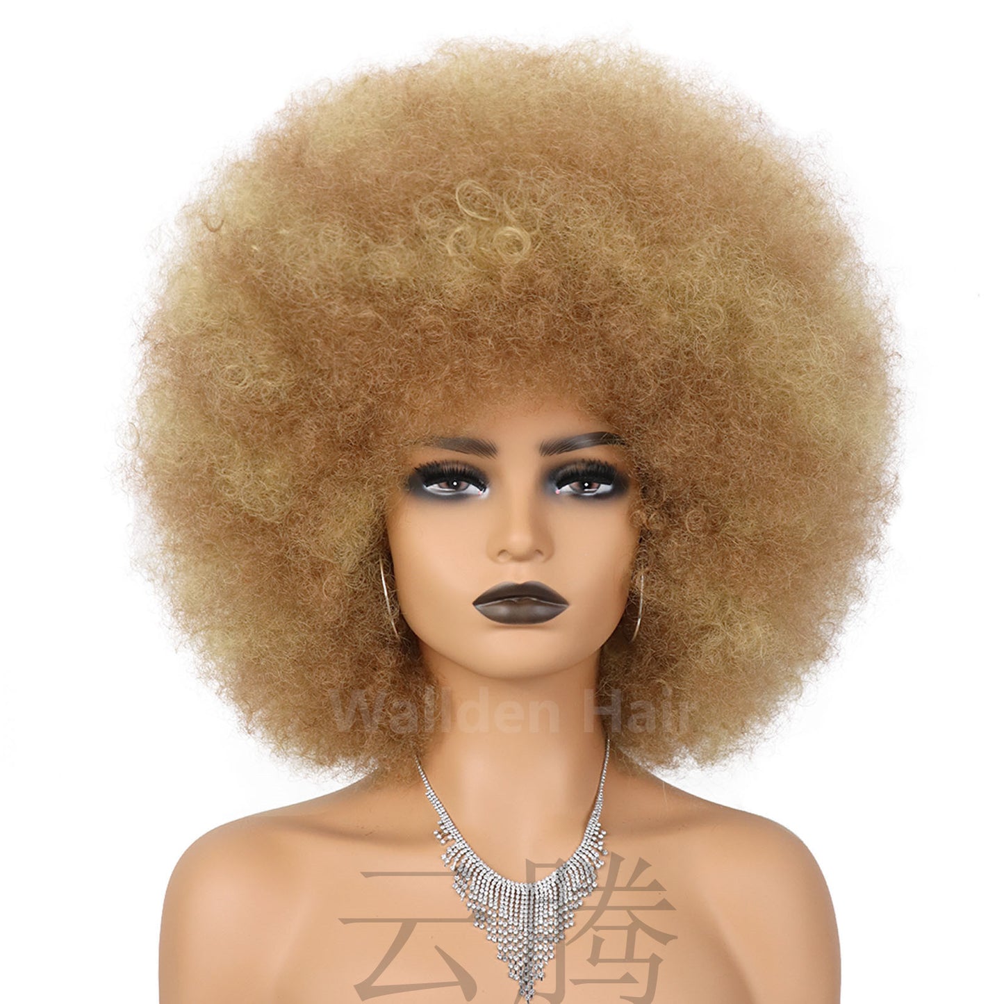 Color Second African Afro Fluffy Small Wig Short Curly Hair