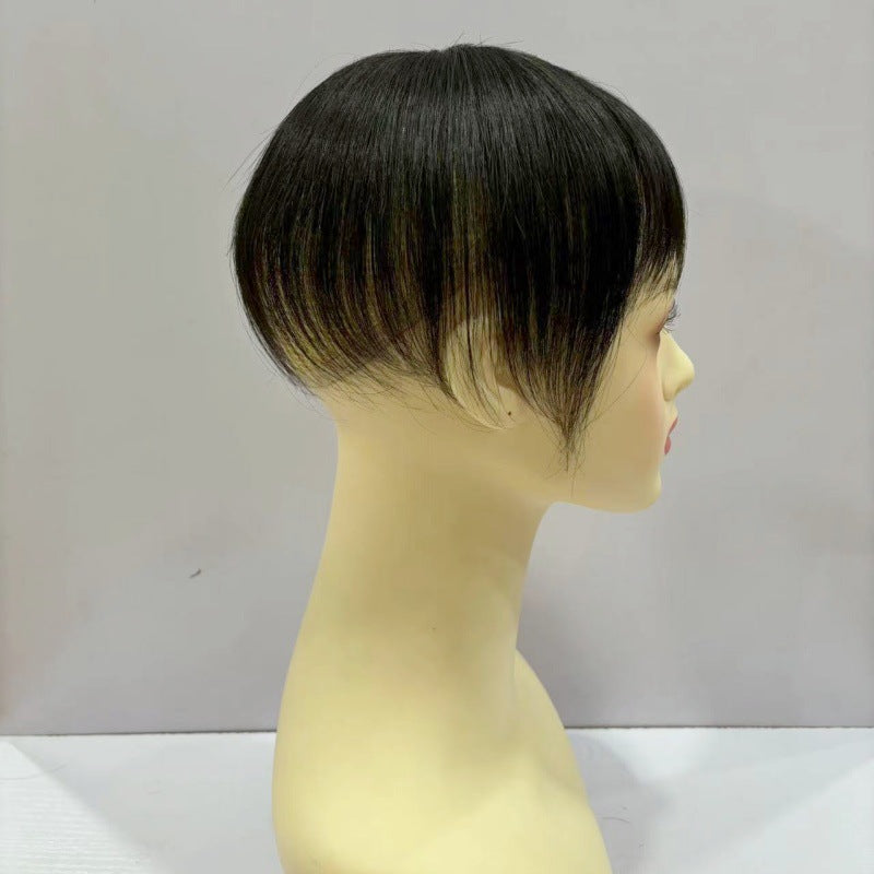 Women's Hair Supplementing Piece Short Straight All Increased Volume Covering Wig
