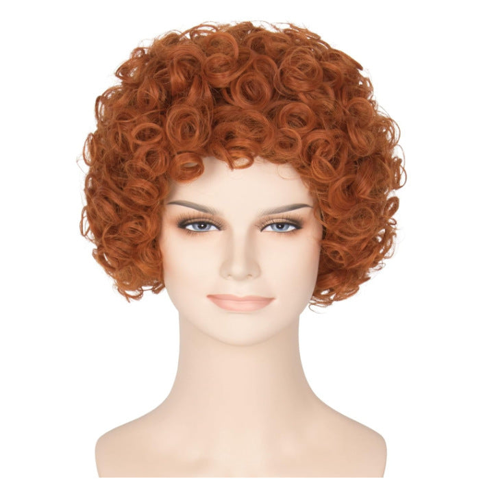 Women's Brown African Small Fluffy Style Wig Short Curly Hair