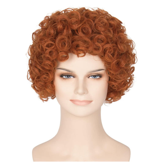 Women's Brown African Small Fluffy Style Wig Short Curly Hair
