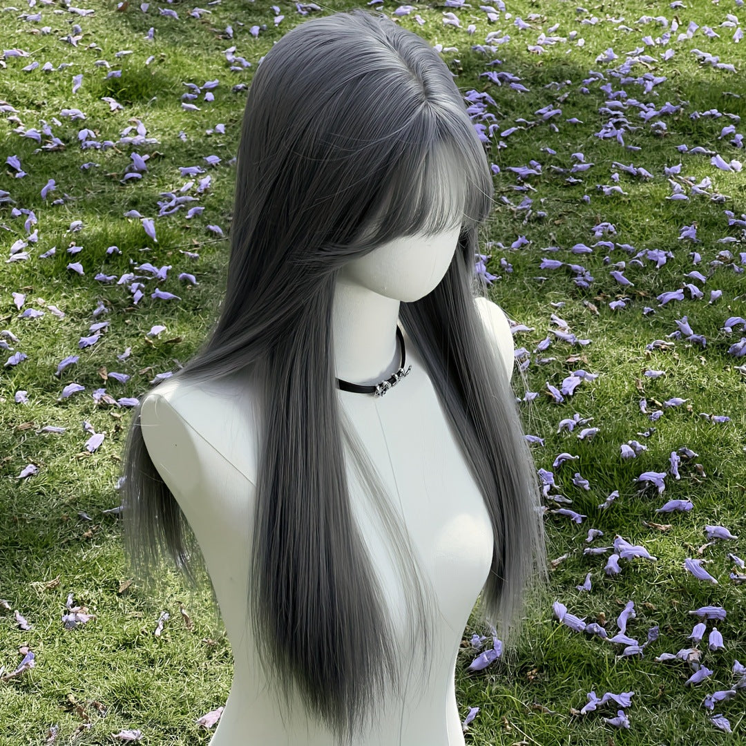 Women's Gray With Bangs Hair Daily Party Long Straight Wig