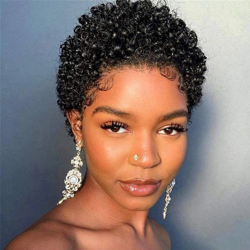 African Small Roll Brown American Style Wig Short Curly Hair
