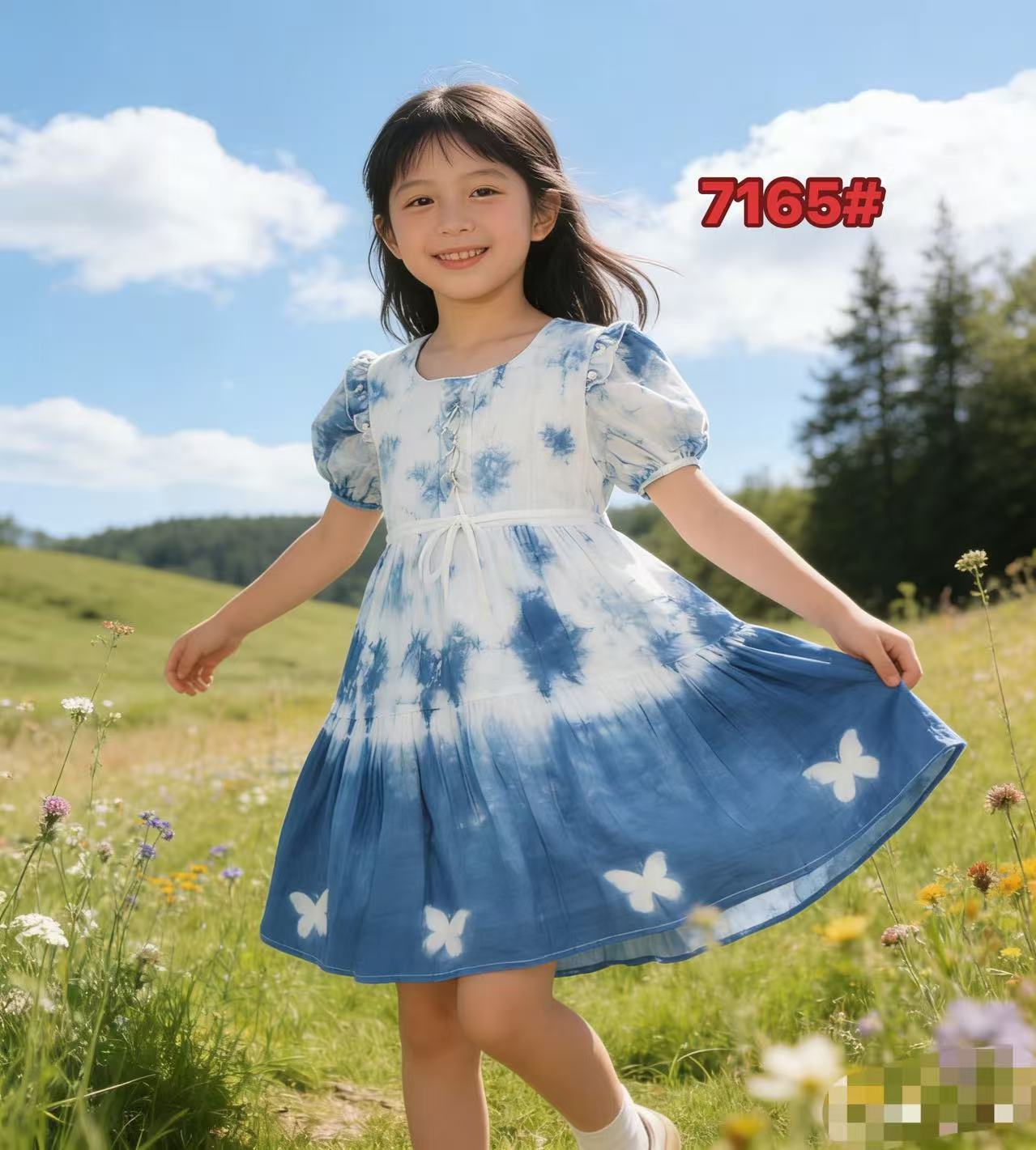 Summer Chinese Style Ethnic Radix Plant Handmade Western Frog Button Children's Dress