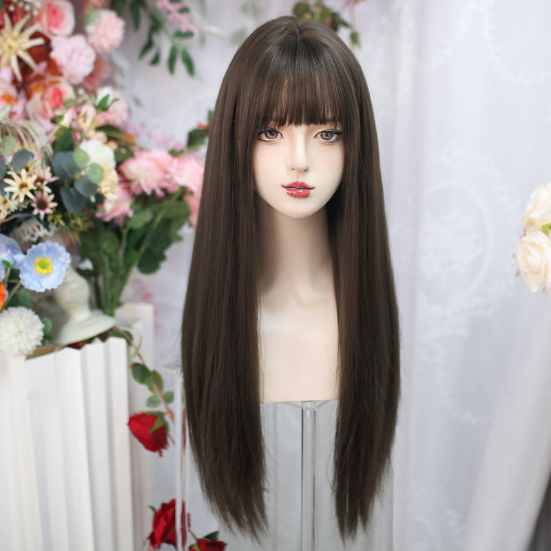 Women's Long Hair Straight Natural Simulation People Air Other Wig