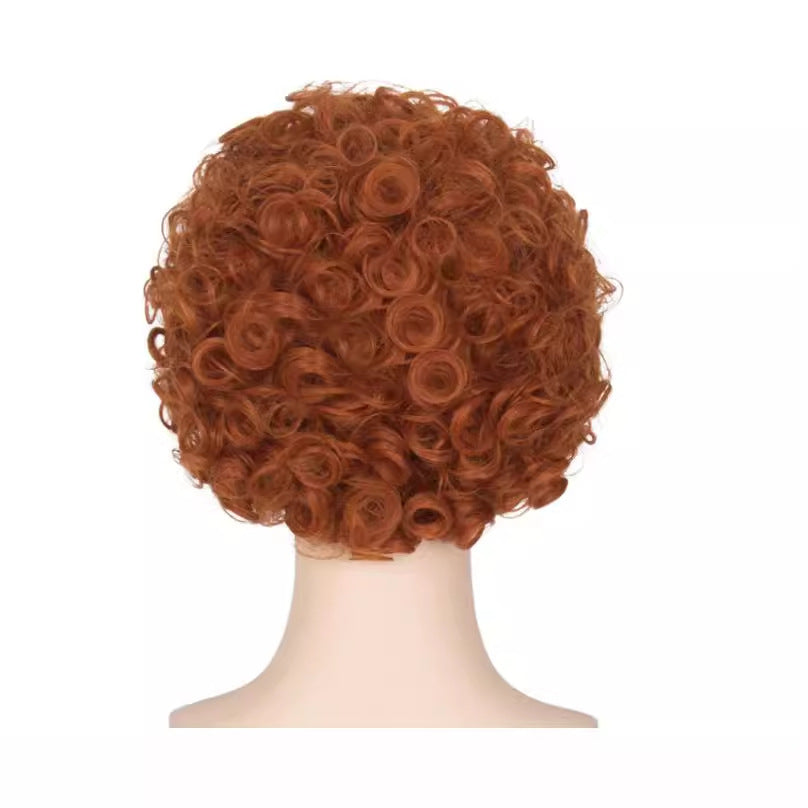 Women's Brown African Small Fluffy Style Wig Short Curly Hair