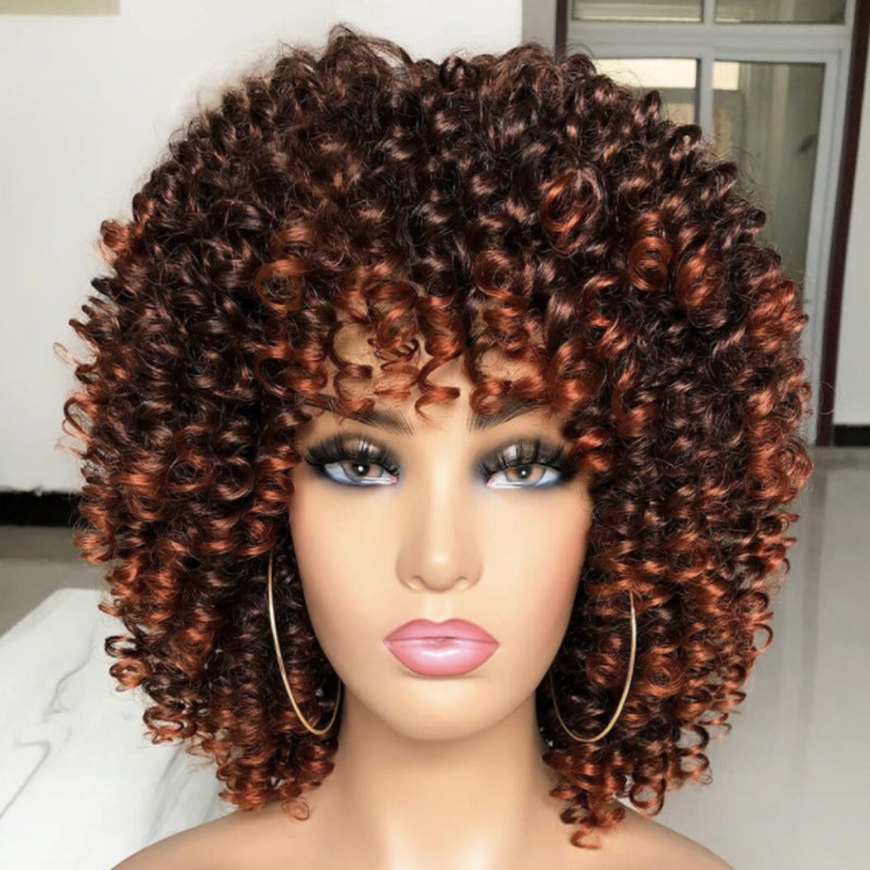 Winding Stick African Small Volume Fluffy Wig Short Curly Hair