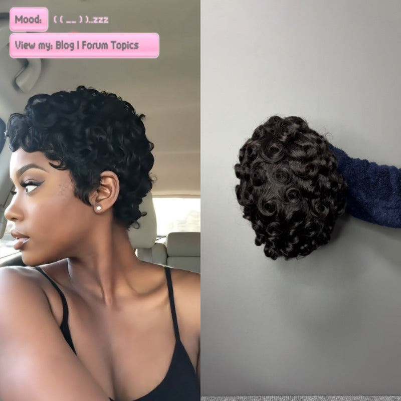 Classic Comfortable Pretty Curly Black Natural Wig Short Straight Hair