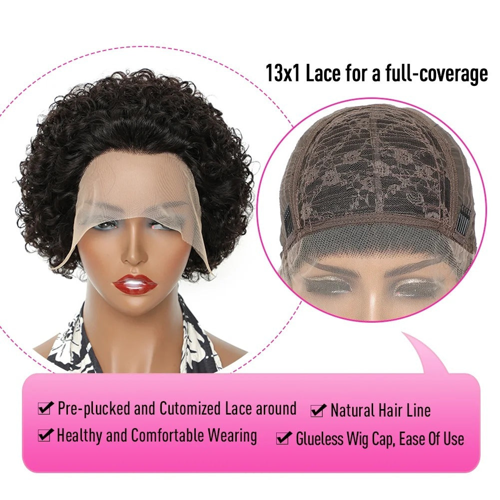 Pixie Cut Lace Wigs Human Shor Wig Short Curly Hair