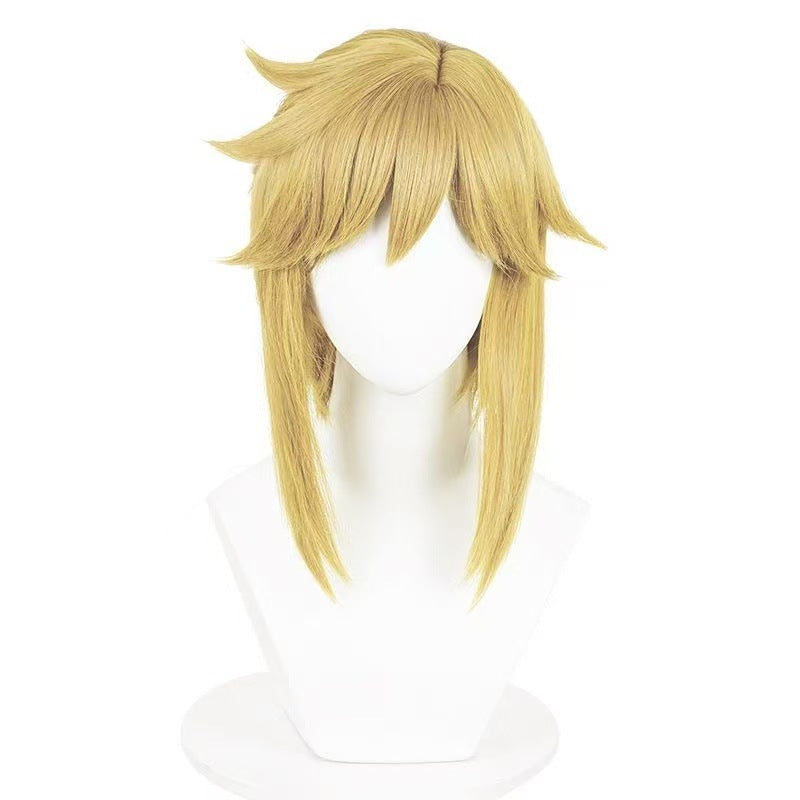 Princess Zelda Breath Of The Wild Link Simulation Cos Wig