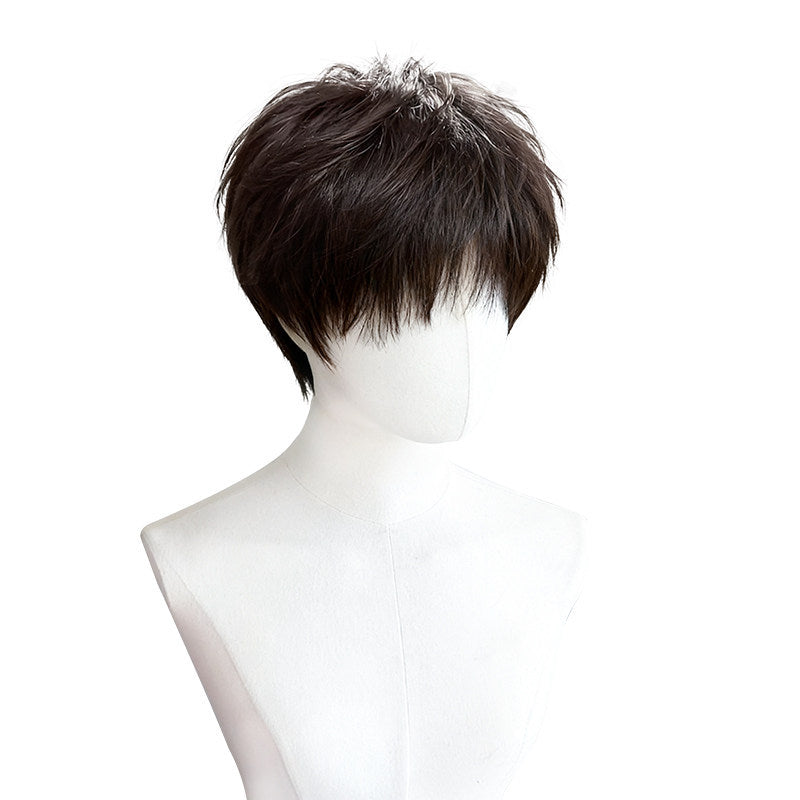 Men's Differential Broken Cover Fashion Short Hair Shape Fluffy Natural Men's Wig