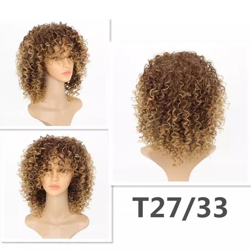 Fiber Classic African Small Roll Caterpillar Synthetic Wig Long Curls