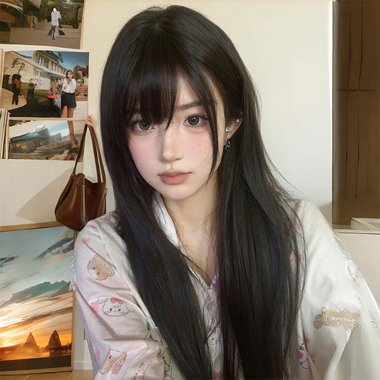 Women's Cool Wind Black Artificial Fashion Whole Long Straight Wig
