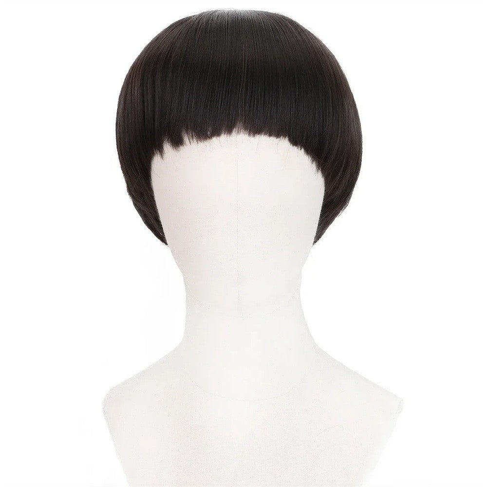 Men's Bowl-shaped Watermelon Rind Head Fiber Synthetic Wigs Men's Wig