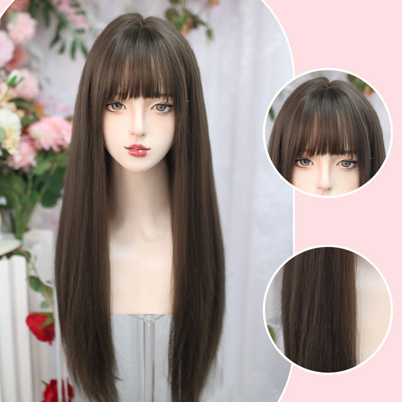 Women's Long Hair Straight Natural Simulation People Air Other Wig