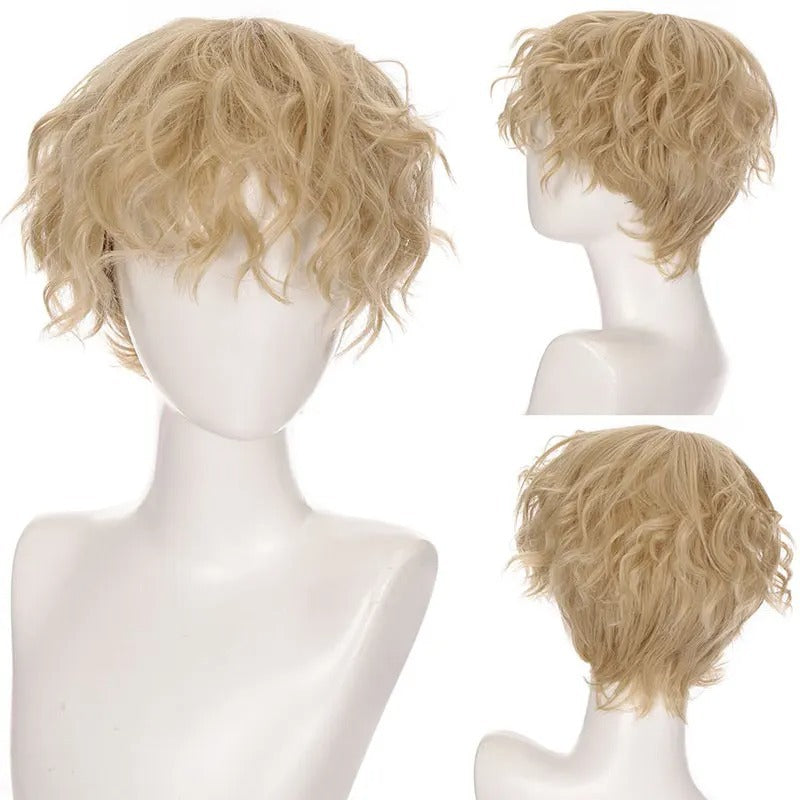 Men's Short Curly Fluffy Natural Mechanism Chemical Other Wig