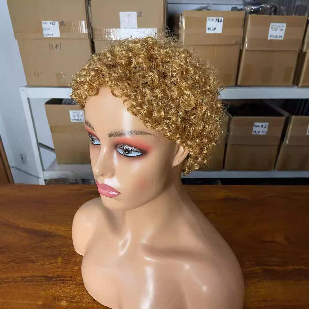 Attractive Graceful African Human Small Curls Wig Short Curly Hair