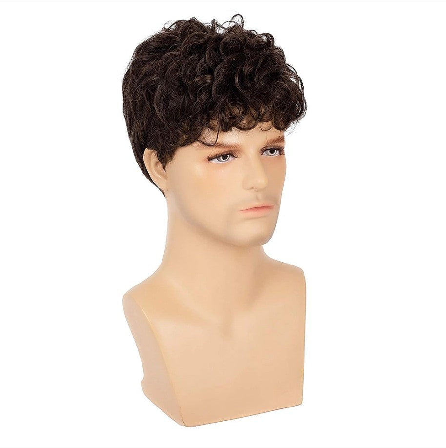 Men's Hair Brown Fashion Short Curly Fluffy Synthetic Men's Wig