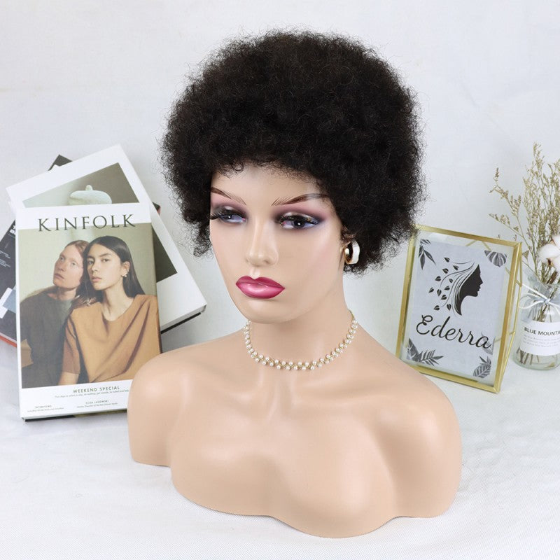 Classic Human Afro Original High Quality Wig Short Curly Hair