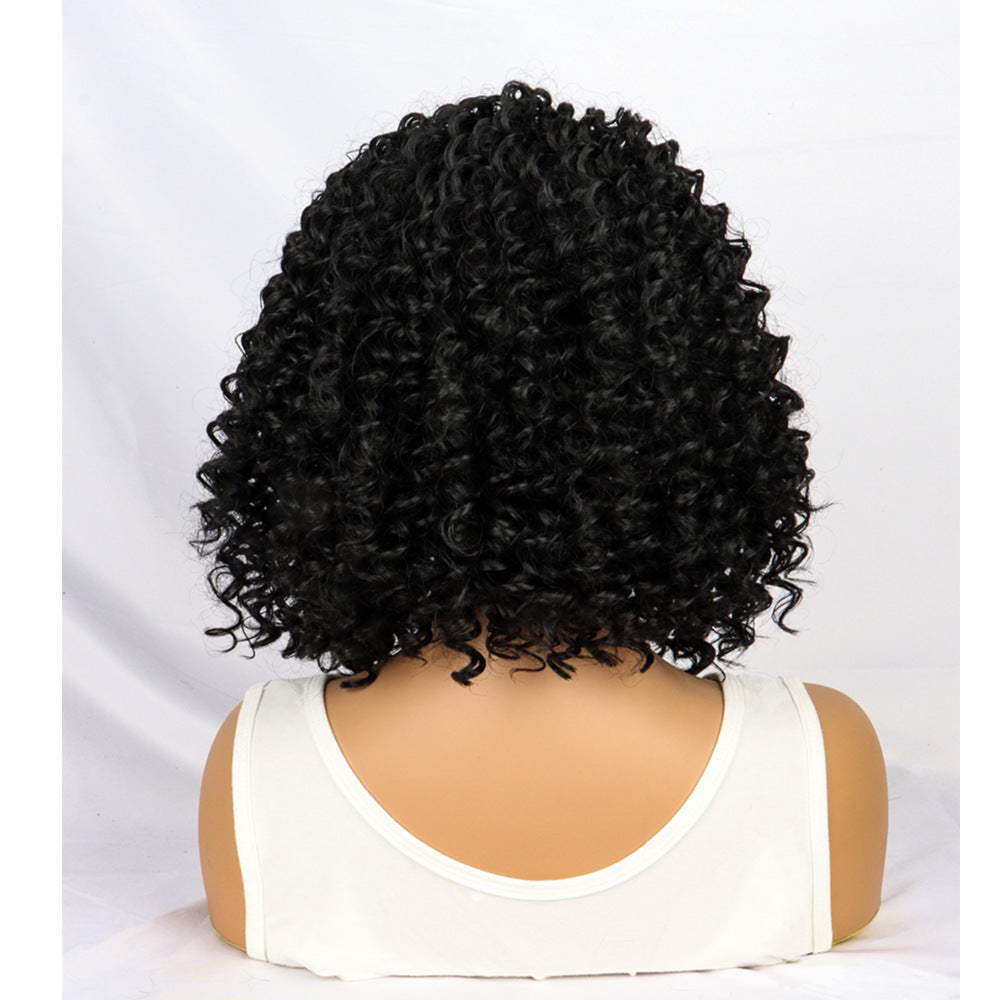 Women's Small Curly Short Hair African Fashion Wave Curlers Chemical Wig Long Curls