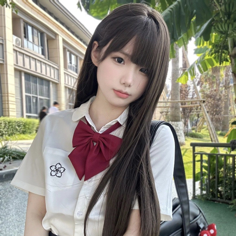 Women's Korean Style Fashion Hair Daily Simulation Long Straight Wig