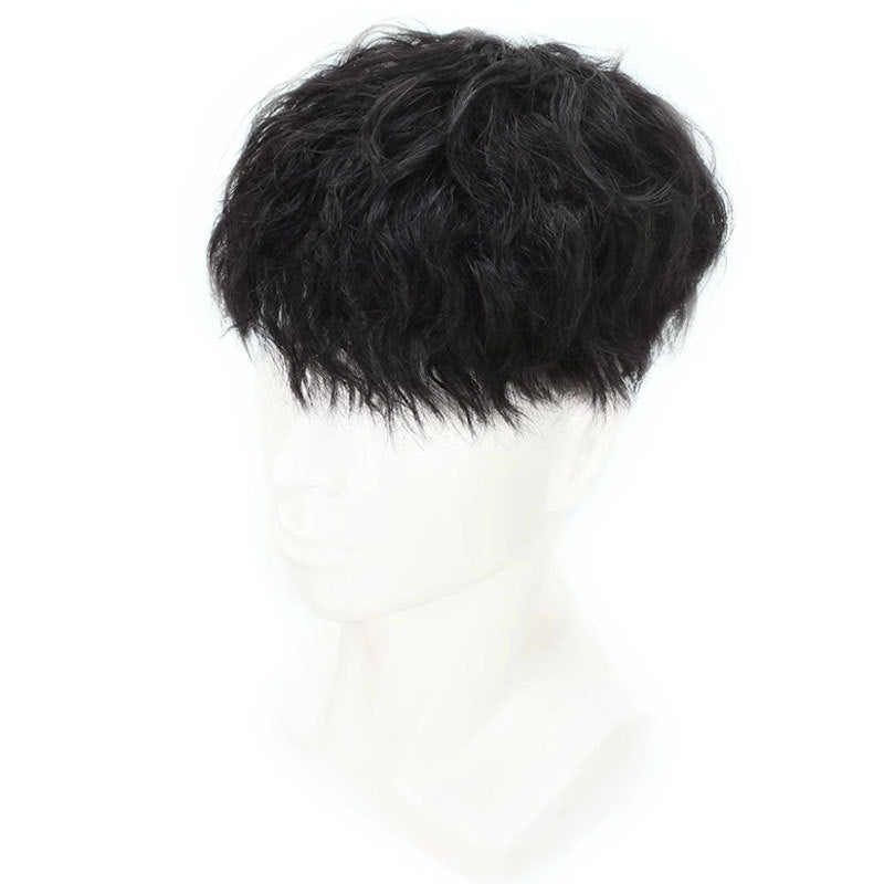 Men's Boys All Real Hair Handsome Leslie Roll Invisible Seamless Curly Men's Wig