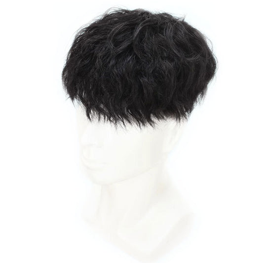 Men's Boys All Real Hair Handsome Leslie Roll Invisible Seamless Curly Men's Wig