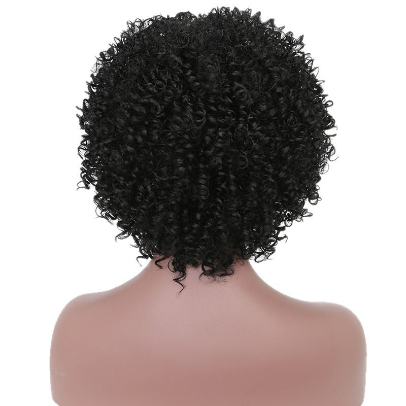 Curly Hair Head Cover Fiber Female Natural Black African Small Long Straight Wig