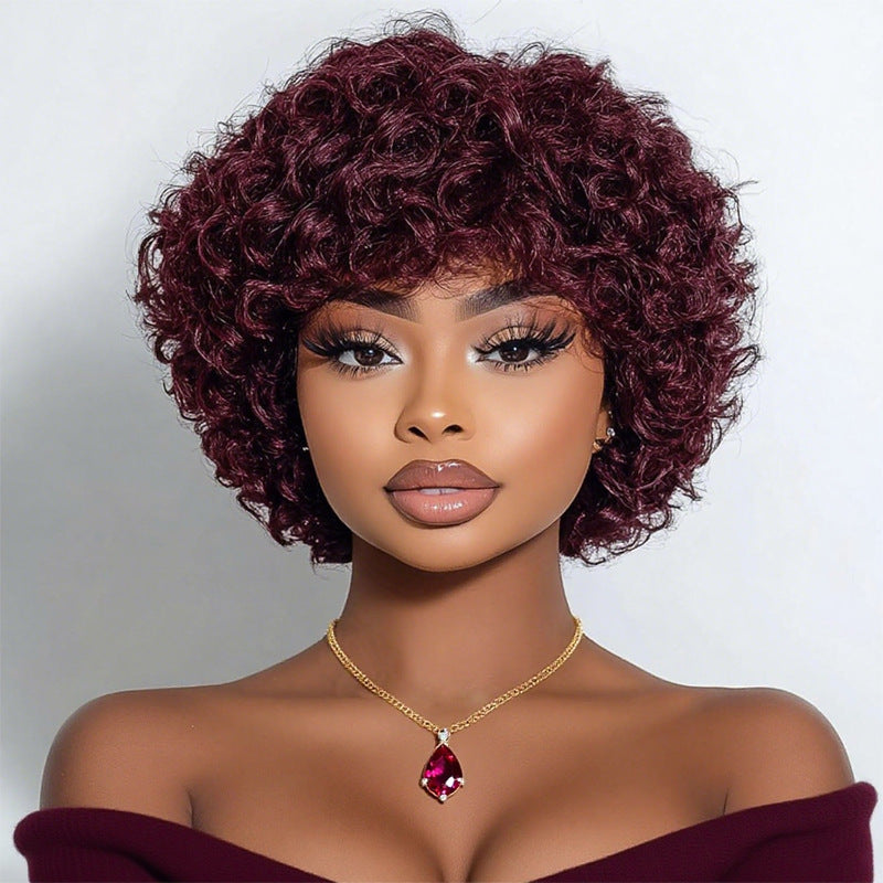 Front Lace African Fashion Fluffy Wigs Wig Short Curly Hair