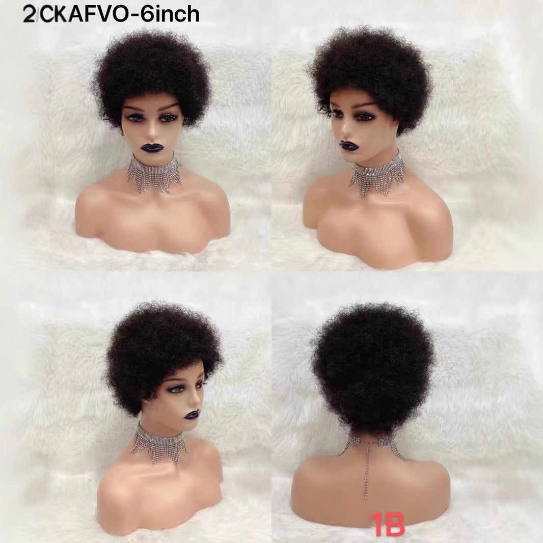Classic Pretty Innovative Straight African Curly Real Hair Wig