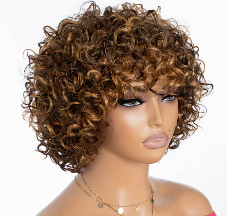 Women's Black Fluffy Natural African Fashion Hairstyle Wig Short Curly Hair