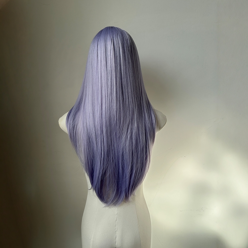 Full Head Female Bangs High Level Daily Hot Long Straight Wig