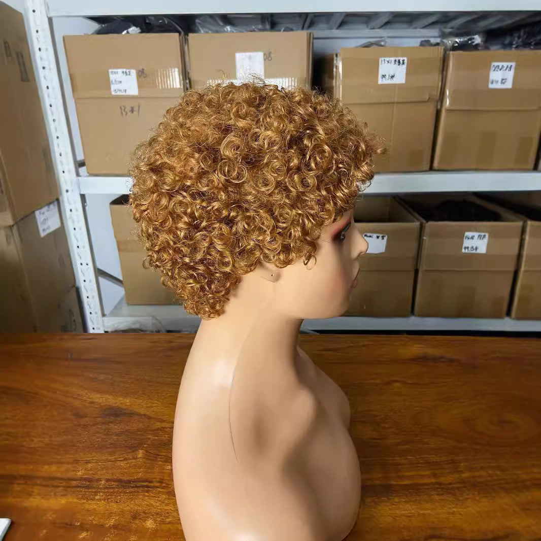 Attractive Graceful African Human Small Curls Wig Short Curly Hair