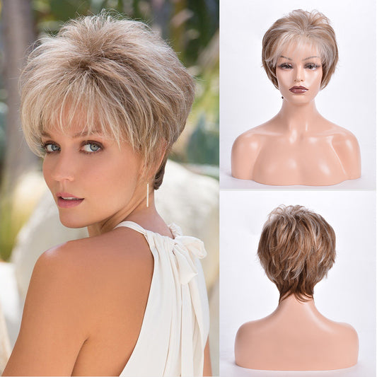 Women's Fashion Mixed Color Head Cover Wig Short Curly Hair