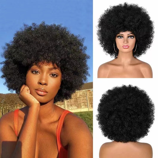 Classic Human Afro Original High Quality Wig Short Curly Hair