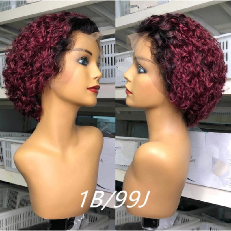 Pixie Curly With Lace Brazilian Natural Real Hair Wig
