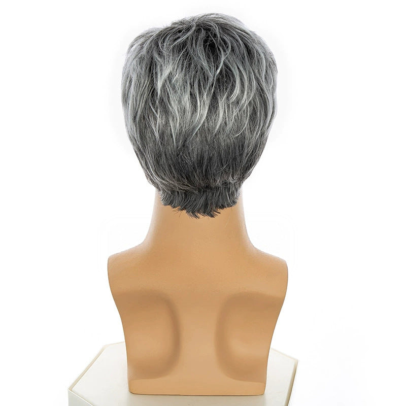 Handsome Man Head Cover Gradient Gray Wig Short Straight Hair