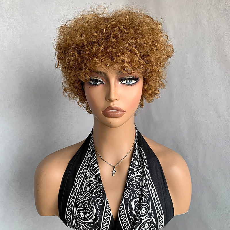 Small Volume Elf Short Female Black Curly Real Hair Wig